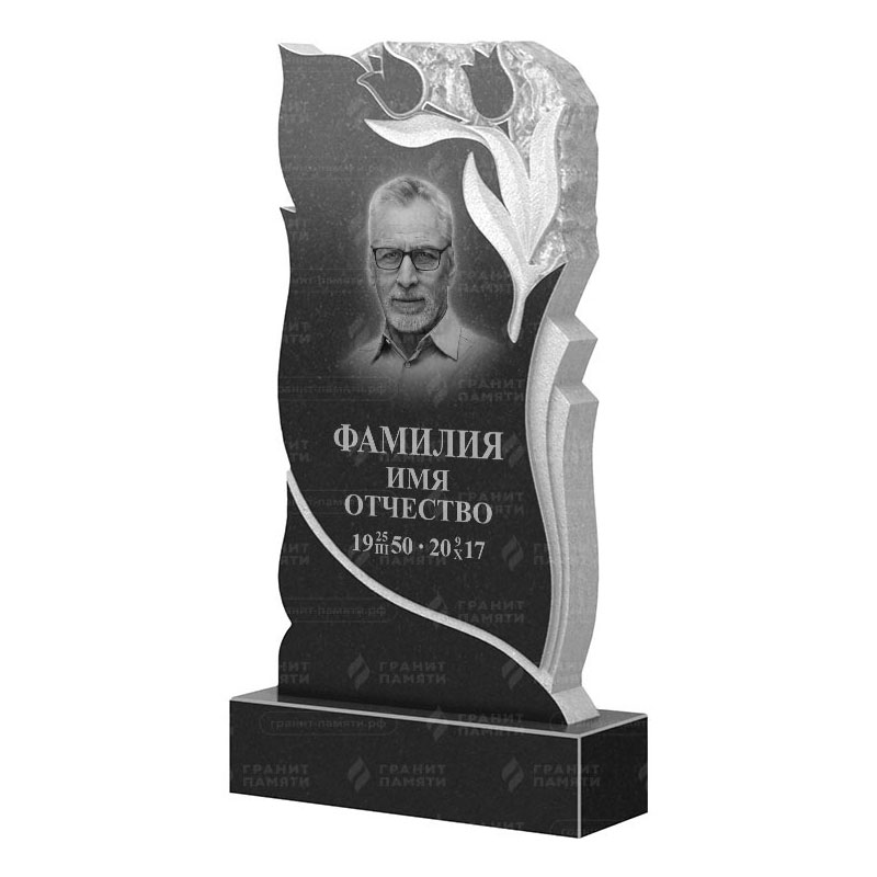 Гранитные памятники в Нижнекамске | Гранитный памятник ФГ-223